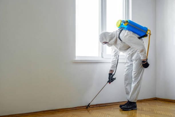 Best Mosquito Control Services  in Bloomfield, NM