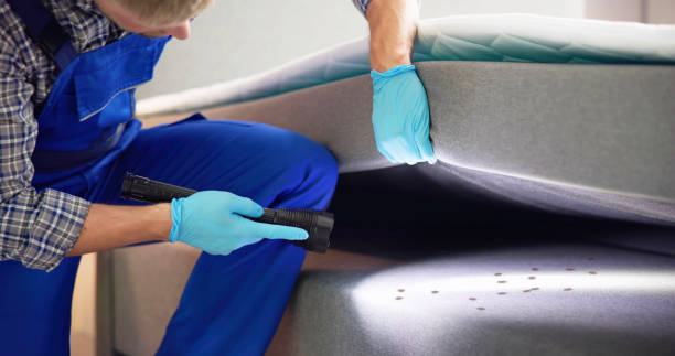 Best Exterminator Services  in Bloomfield, NM